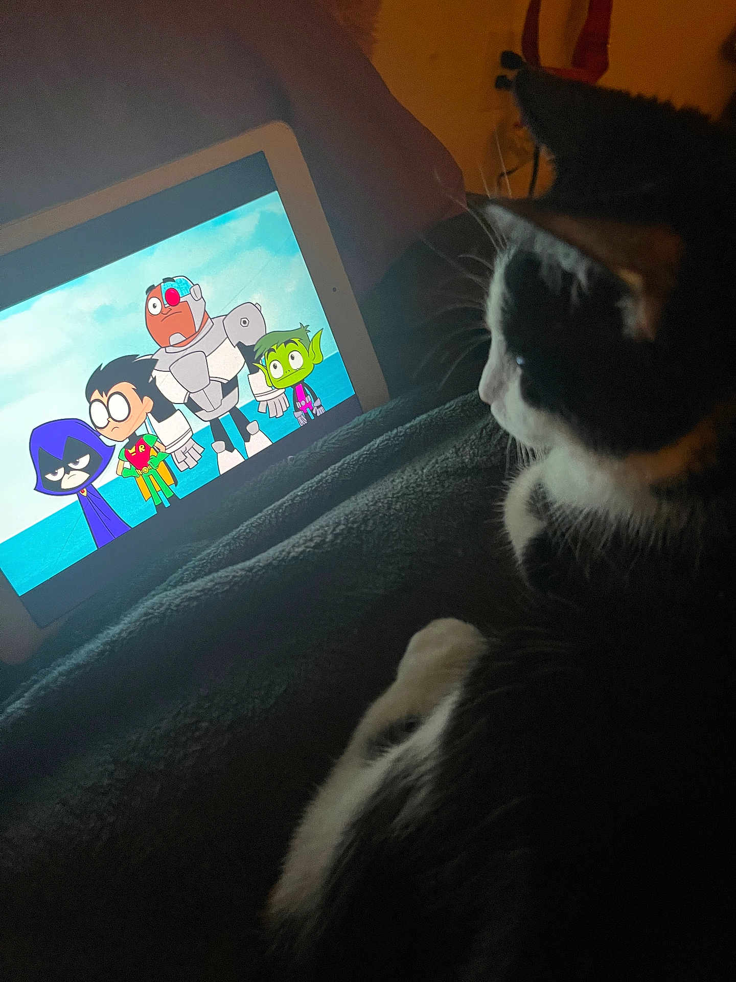 Noya is registered to the contest to win money with this photo: cat, tablet, cartoon, teen_titans_go, black_and_white, pet, indoor, blanket, screen, animation, watching, feline, cozy, dim_light, resting, side_view, technology, entertainment, animal, cute