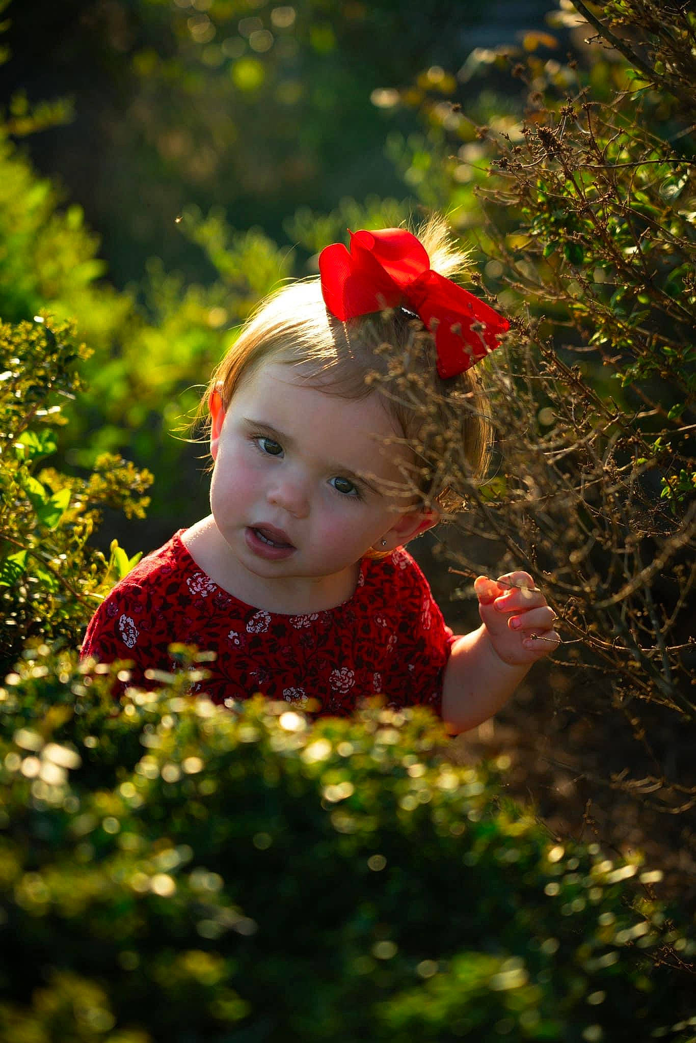 Blakeley is registered to the contest to win money with this photo: baby, baby_toddler_clothing, child, eye, flash_photography, flower, grass, grass_family, happy, head, headwear, lip, magenta, meadow, natural_environment, people_in_nature, person, petal, plant, shrub