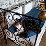 animal, blue_fabric, cat, chair, cozy, curled_up, cushion, furniture, home_decor, indoor, ornate, pet, relaxed, resting, sleeping, stone_wall, tabby_cat, white_chest, wooden_floor, wrought_iron