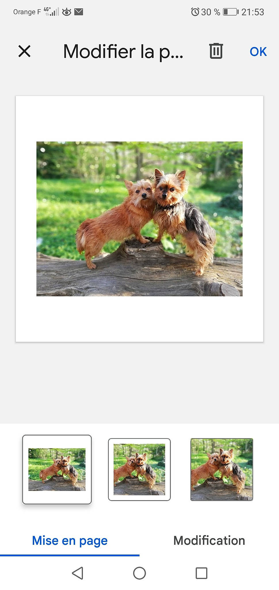 Tingting Et Yuko a rejoint le concours — aidez-le/la à gagner de superbes lots ! airedale_terrier, art, brown_bear, carnivore, companion_dog, dog, dog_breed, fawn, fox, grass, grassland, landscape, liver, natural_landscape, plant, recipe, screenshot, terrestrial_animal, wildlife, working_animal