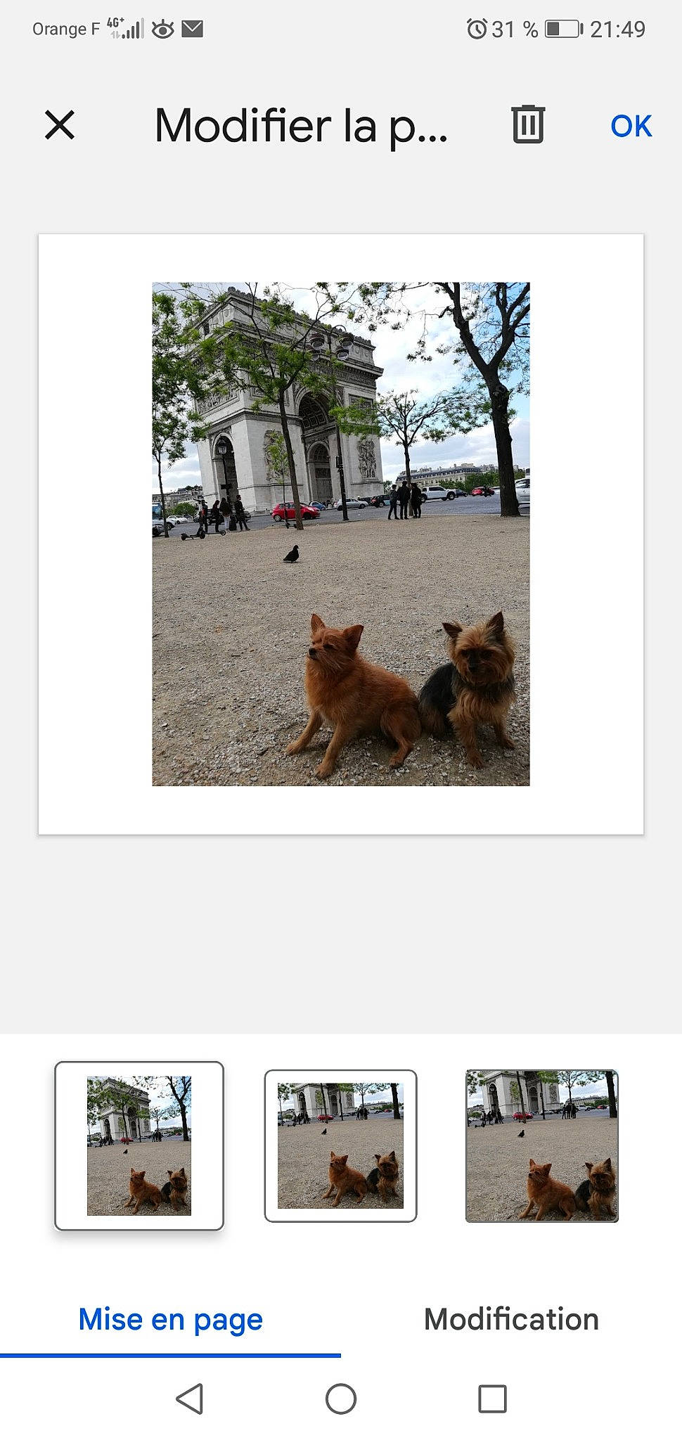 Tingting Et Yuko a rejoint le concours — aidez-le/la à gagner de superbes lots ! adaptation, canidae, carnivore, companion_dog, dog_breed, fawn, felidae, font, fur, grass, mammal, photograph, screenshot, sky, small_to_medium_sized_cats, snapshot, sporting_group, tail, tree, working_animal