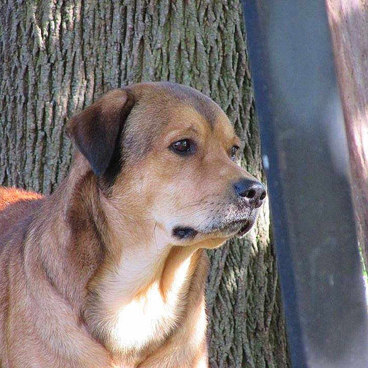 Murphy