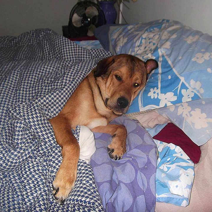 Murphy is registered to the contest to win money with this photo: