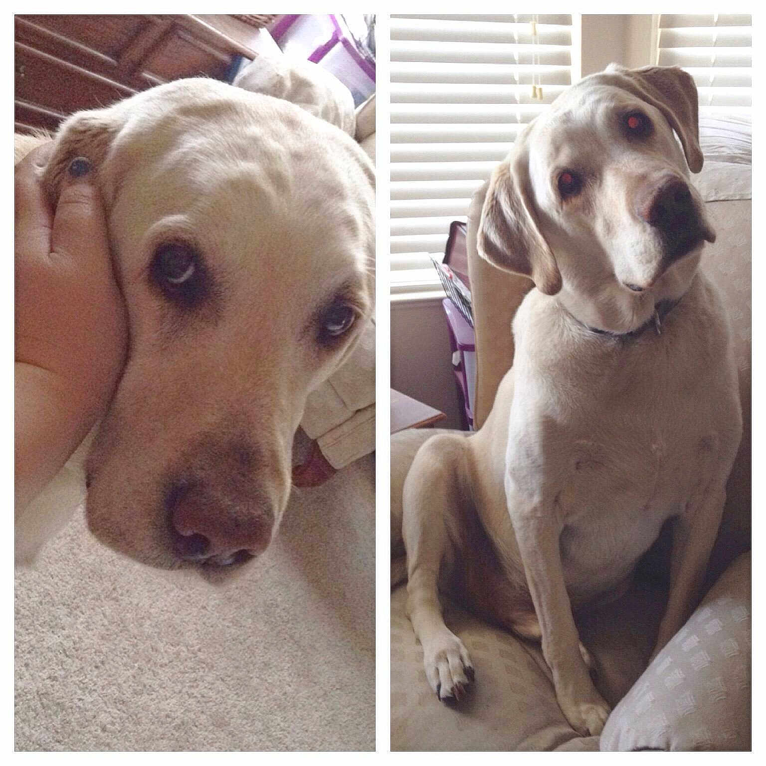 Tucker is registered to the contest to win money with this photo: