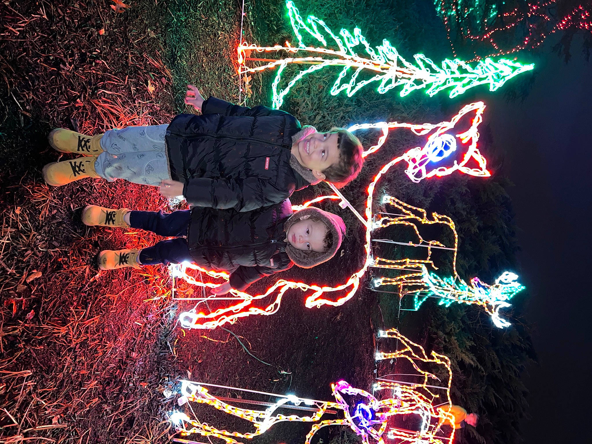 Elias is registered to the contest to win money with this photo: christmas_decoration, christmas_lights, darkness, electric_blue, electricity, event, font, green, holiday, joy, light, line, midnight, nature, neon, organism, person, plant, sky, space