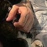 Toast is registered to the contest to win money with this photo: cat, black_and_white, hand, tattoo, bedspread, remote_control, phone, indoor, resting, snuggling, animal, pet, feline, cozy, closeup, paw, relaxing, human, skin, sleeping