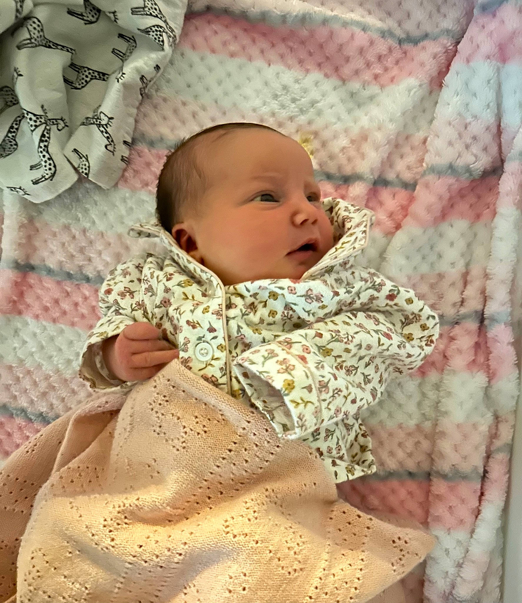 Aubree joined the competition — help win amazing prizes! art, baby, baby_toddler_clothing, cheek, child, comfort, dress, face, facial_expression, fashion_design, happy, head, linens, pattern, person, pink, product, skin, sleeve, textile