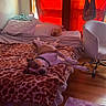 dog, pet, sleeping, lying_down, bed, bedroom, blanket, leopard_print, collar, brown_and_white, indoor, home, furniture, office_chair, window, red_curtains, stuffed_animal, wood_floor, cozy, relaxed