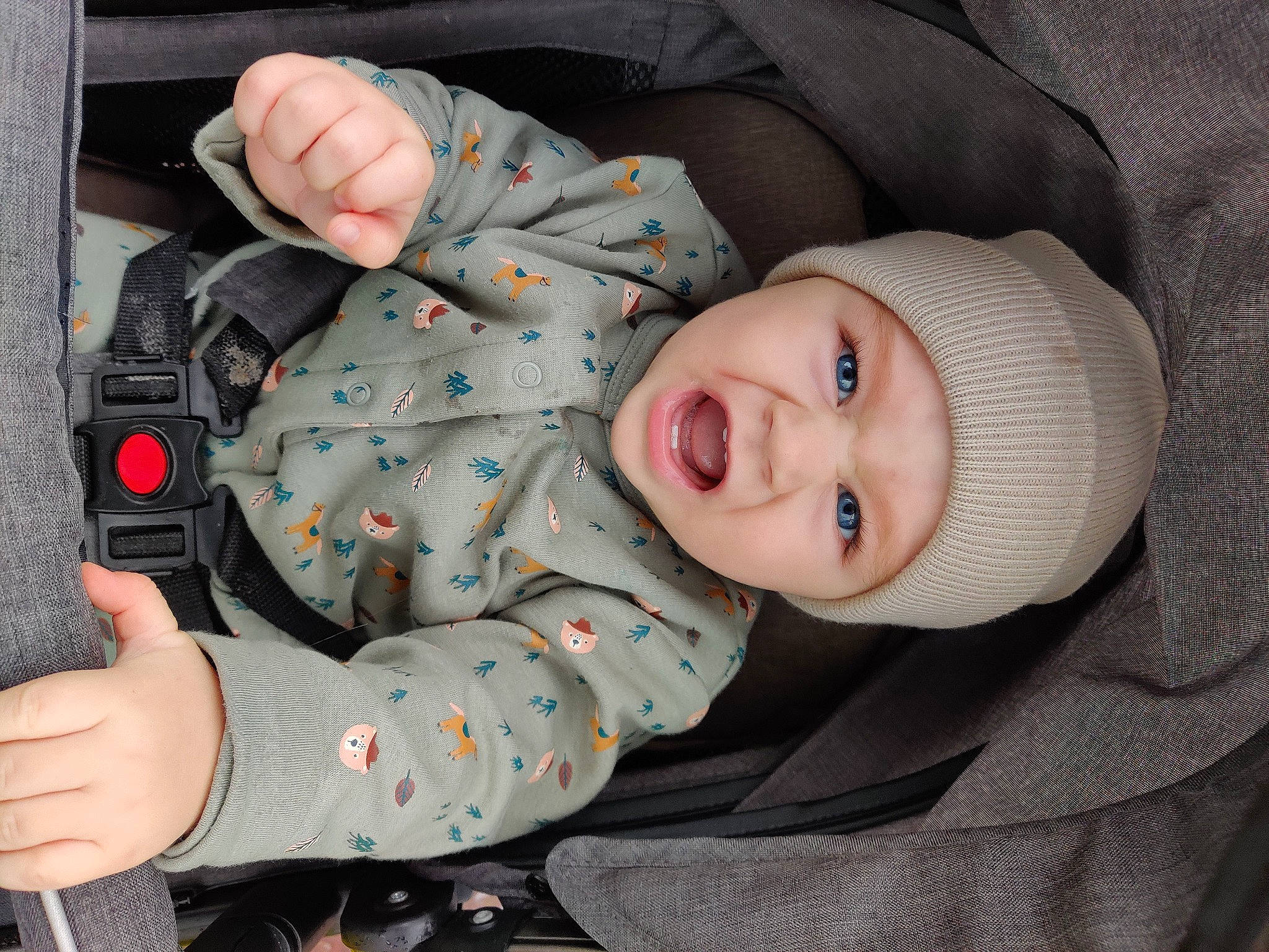 Thomas a rejoint le concours — aidez-le/la à gagner de superbes lots ! baby, baby_carriage, baby_products, baby_toddler_clothing, cheek, child, comfort, face, facial_expression, hat, headwear, nail, nose, pattern, person, plant, skin, sleeve, smile, textile