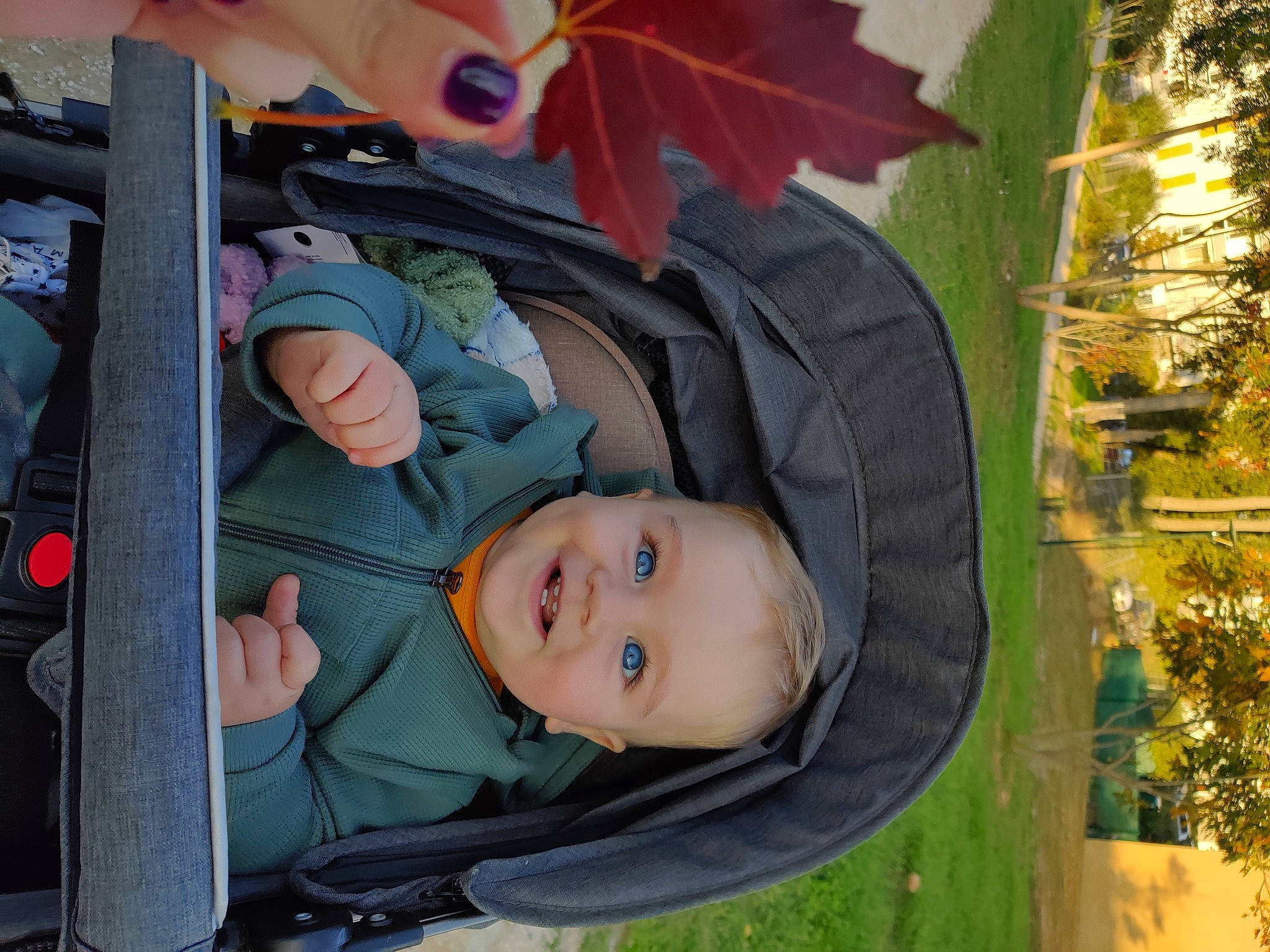 Thomas participe au concours pour gagner de l'argent avec cette photo : baby, baby_carriage, baby_products, child, comfort, fun, grass, joy, leaf, leisure, outerwear, person, plant, toddler, tree, vacation, window, wood