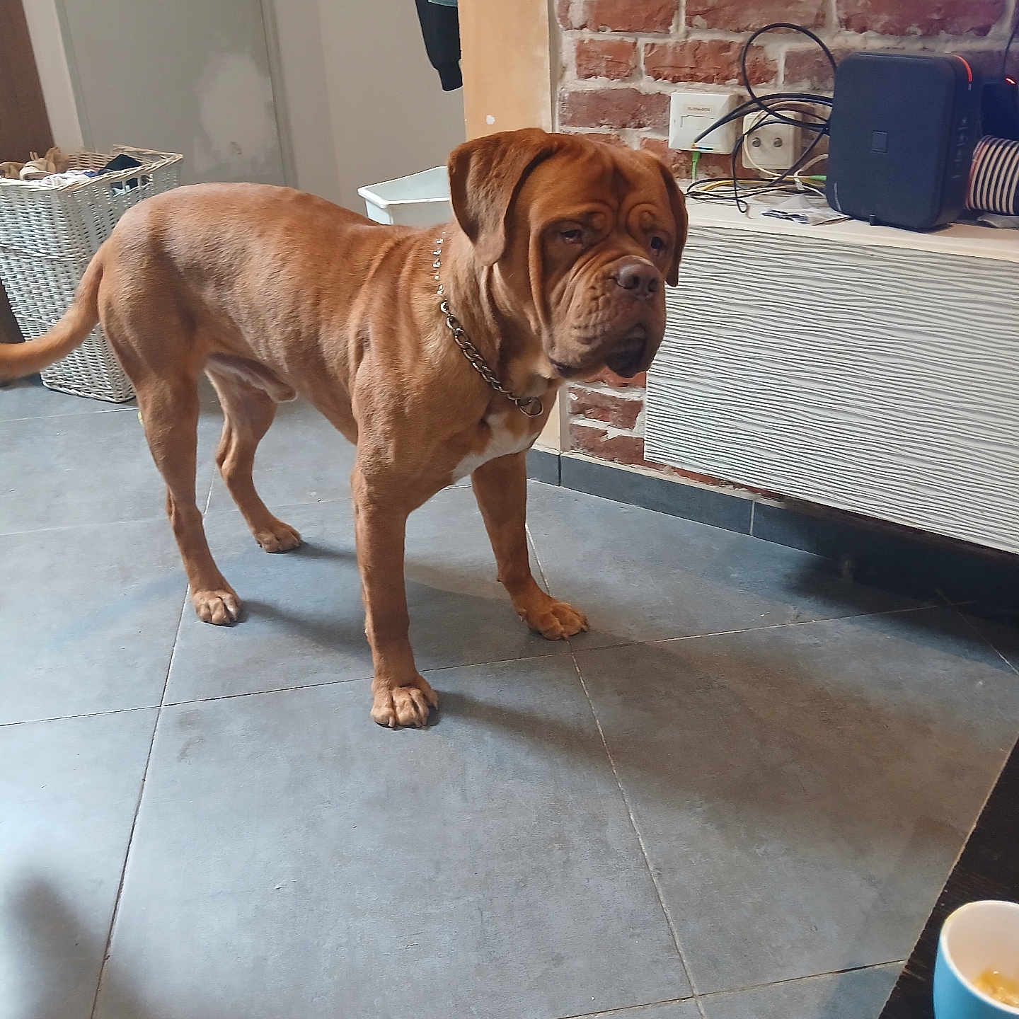 Max