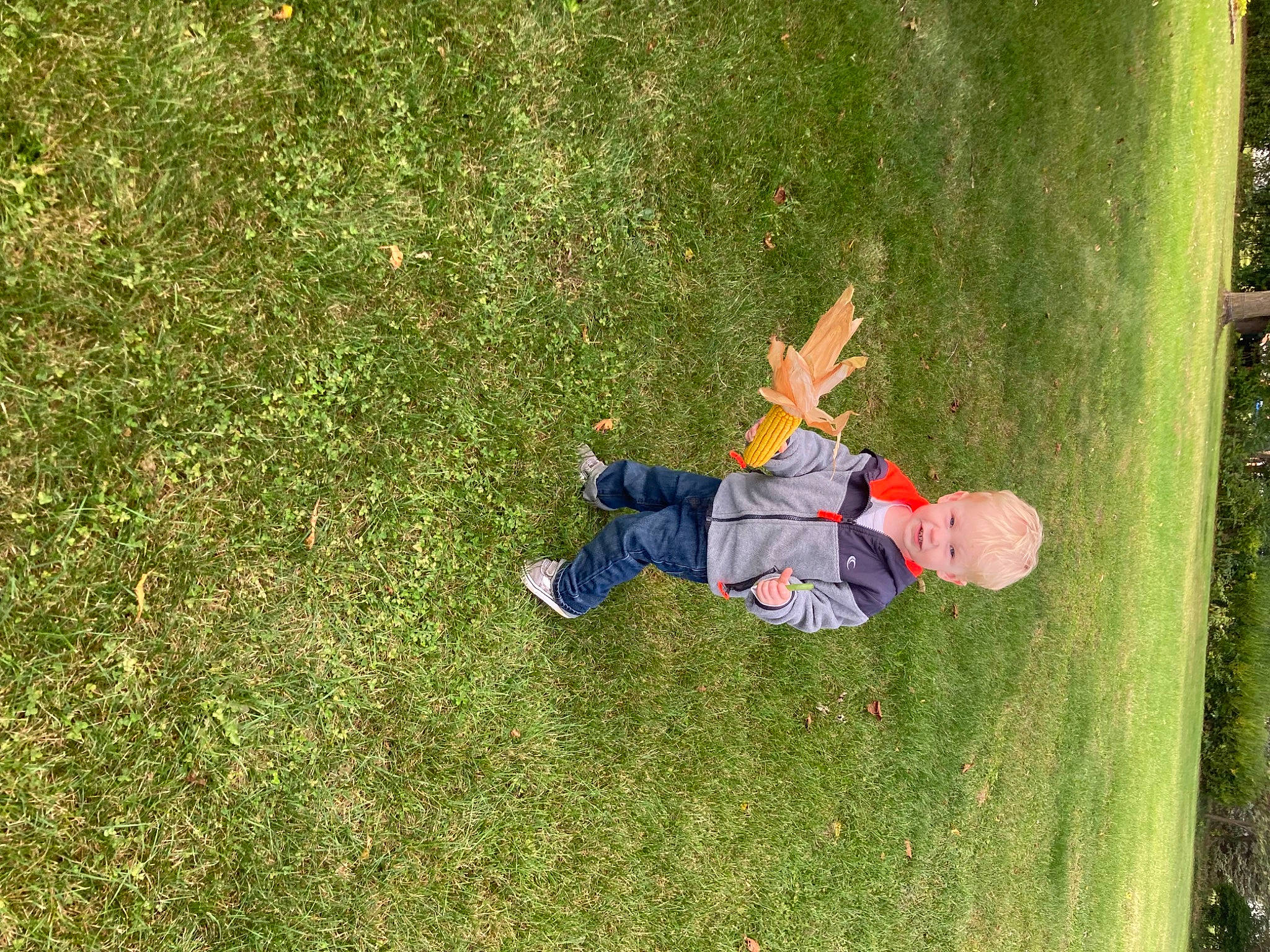 Mikey joined the competition — help win amazing prizes! ball, fun, garden, grass, grass_family, grassland, groundcover, happy, jeans, landscape, lawn, leisure, people_in_nature, person, plant, recreation, shrub, sitting, sports_equipment, walking_shoe