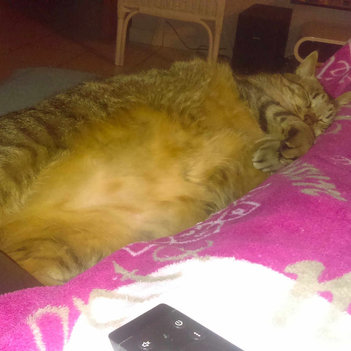 Mistiri