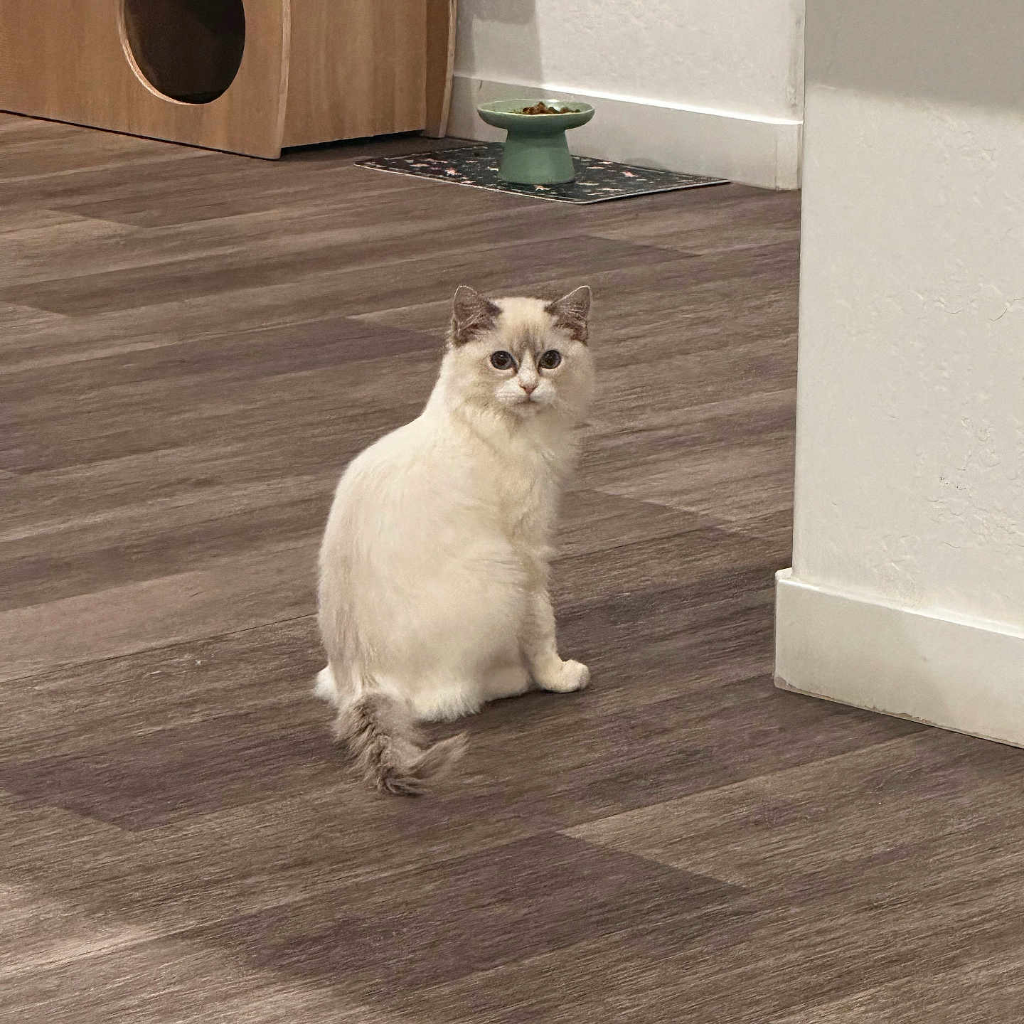 Yuki