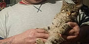 Prunelle participe au concours pour gagner de l'argent avec cette photo : man, cat, indoor, glasses, holding, tabby_cat, furniture, shelf, casual, toothpick, tattoo, clothing, relaxed, animal, pet, face, portrait, home, person, adult