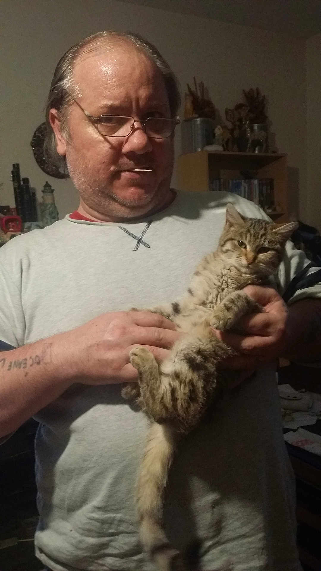 Prunelle participe au concours pour gagner de l'argent avec cette photo : man, cat, indoor, glasses, holding, tabby_cat, furniture, shelf, casual, toothpick, tattoo, clothing, relaxed, animal, pet, face, portrait, home, person, adult