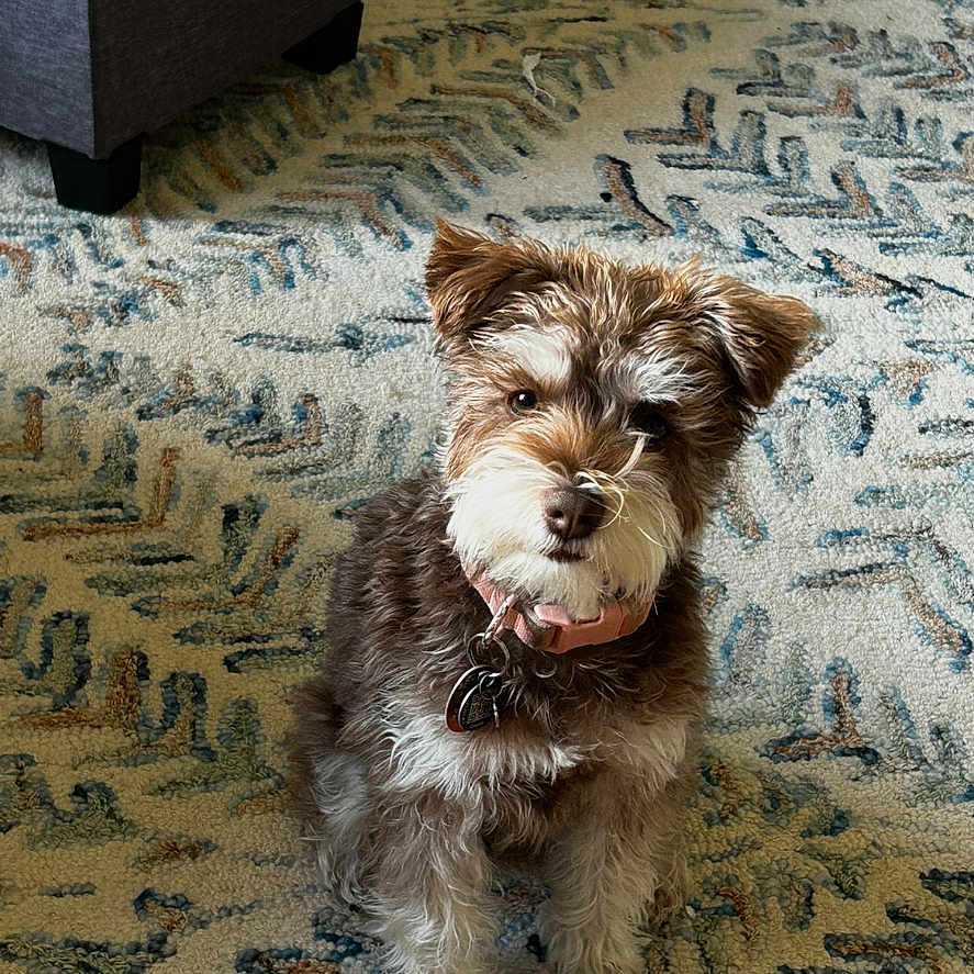 Rosie