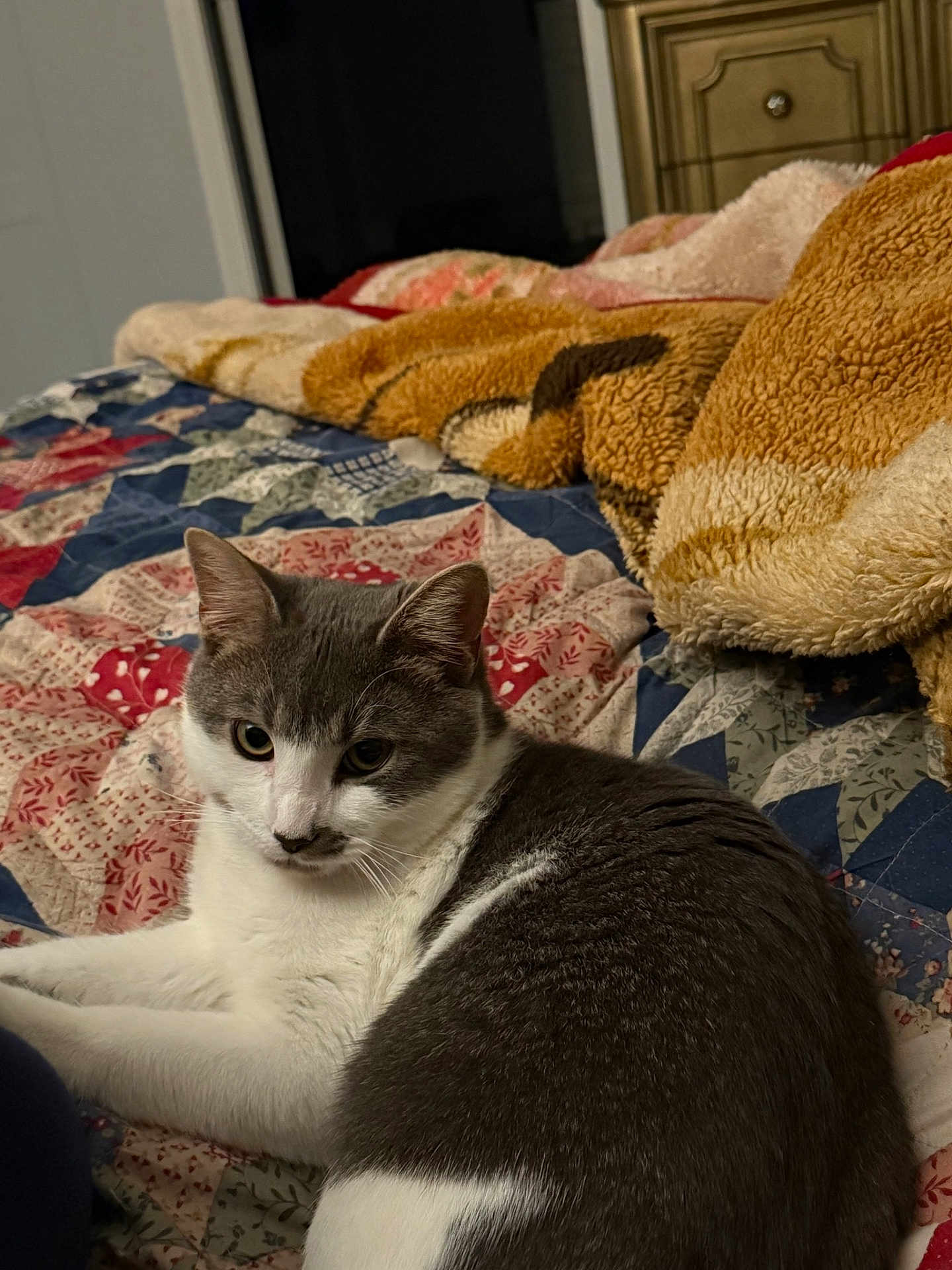 Milo