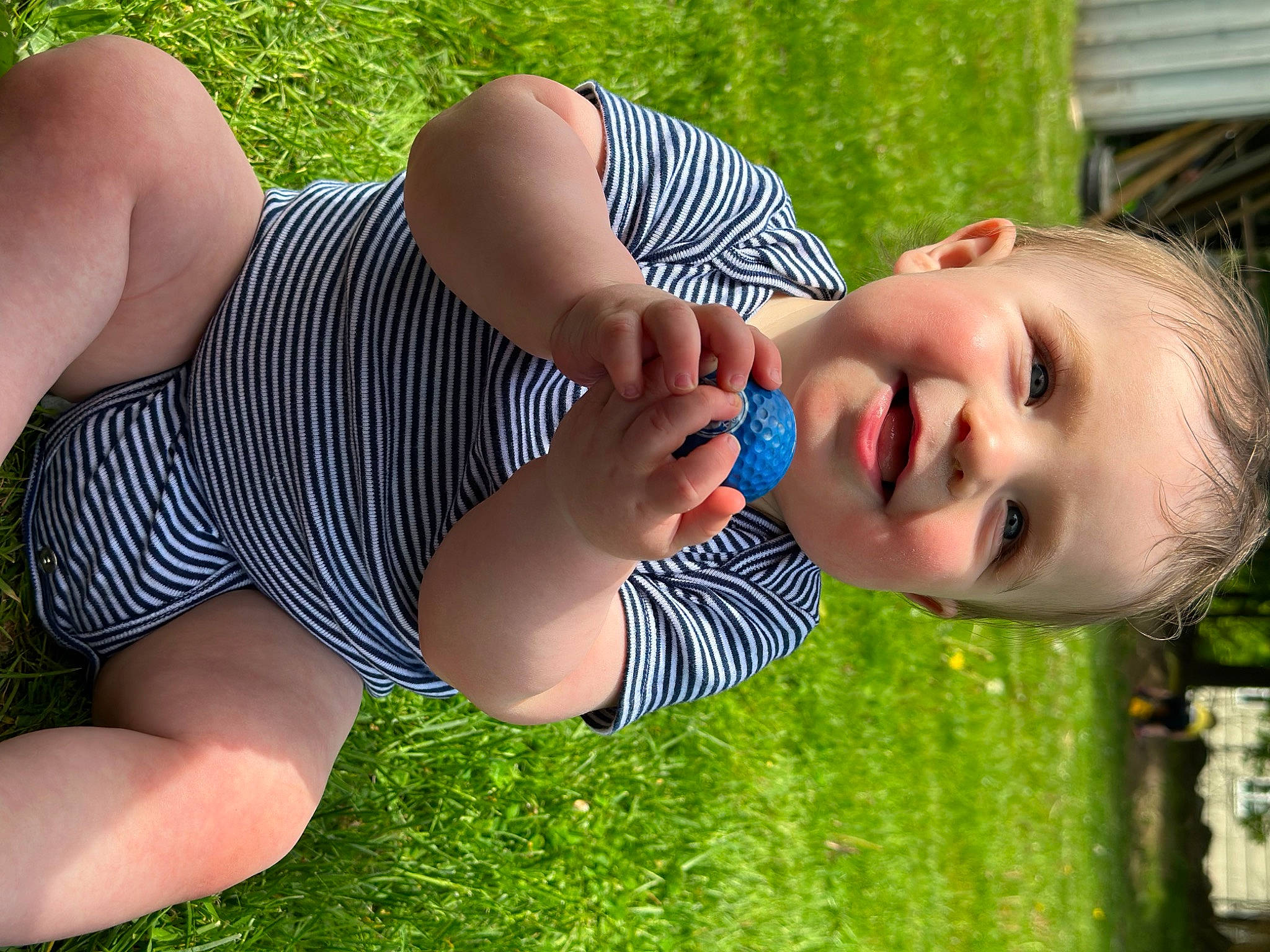 Colby joined the competition — help win amazing prizes! black_hair, chest, elbow, electric_blue, finger, grass, green, happy, human_body, human_leg, joint, joy, knee, leisure, people_in_nature, person, shoulder, smile, thigh, tree