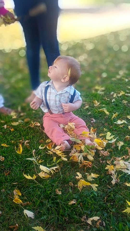 Zackary is registered to the contest to win money with this photo: autumn, child, flower, fun, grass, happy, lawn, leaf, meadow, people_in_nature, person, plant, play, spring, sunlight, toddler, wildflower