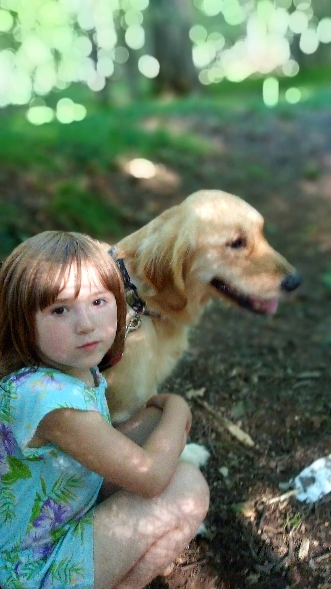 Cassandra joined the competition — help win amazing prizes! canidae, carnivore, child, companion_dog, dog, dog_breed, fawn, golden_retriever, person, play, puppy_love, retriever, sporting_group, toddler