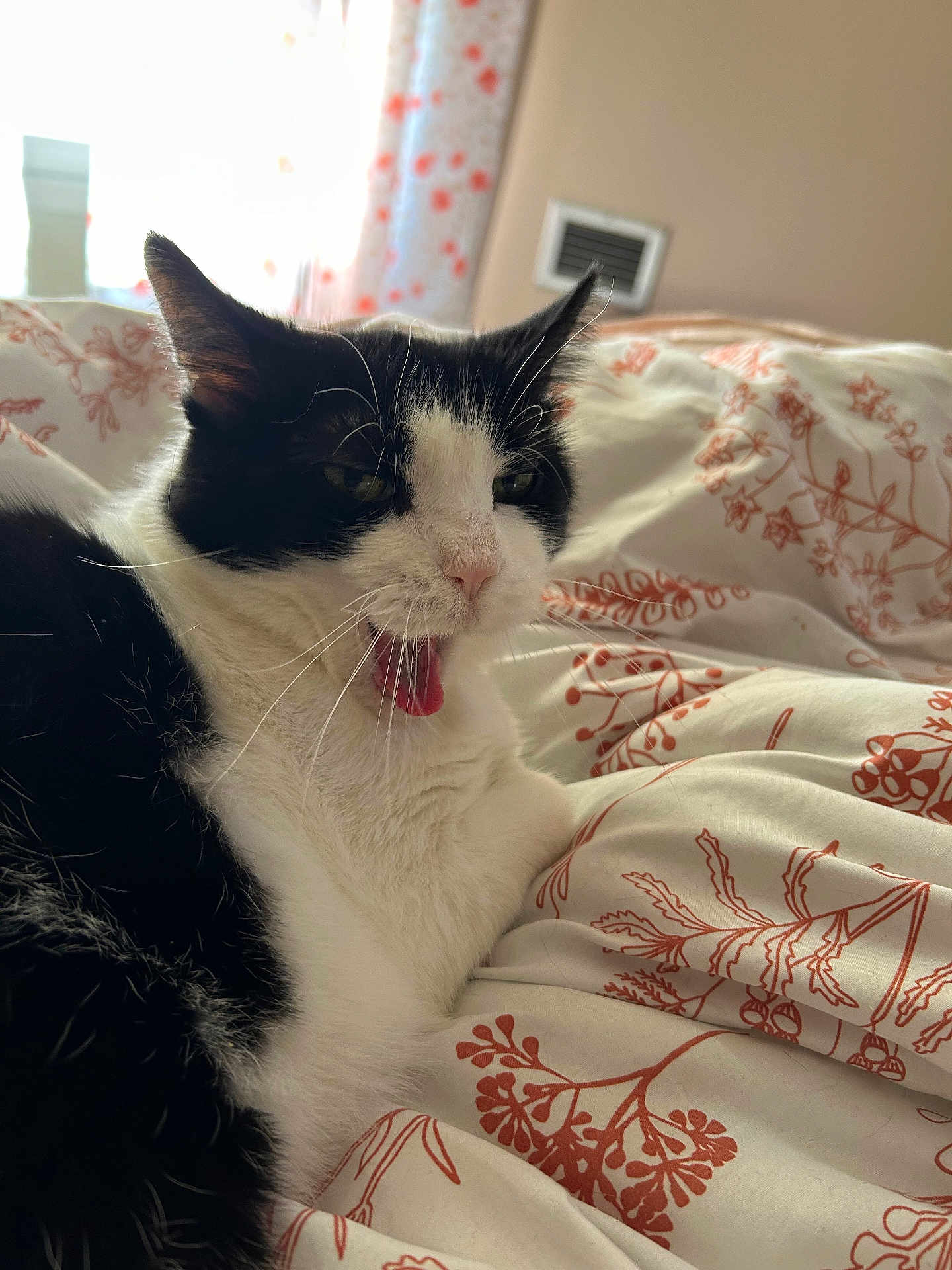 Oreo