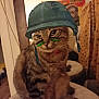 cat, tabby_cat, pet, indoor, helmet, face_paint, furniture, cushion, wall, poster, brown, striped, animal, cute, sitting, closeup, domestic_cat, mammal, whiskers, eyes