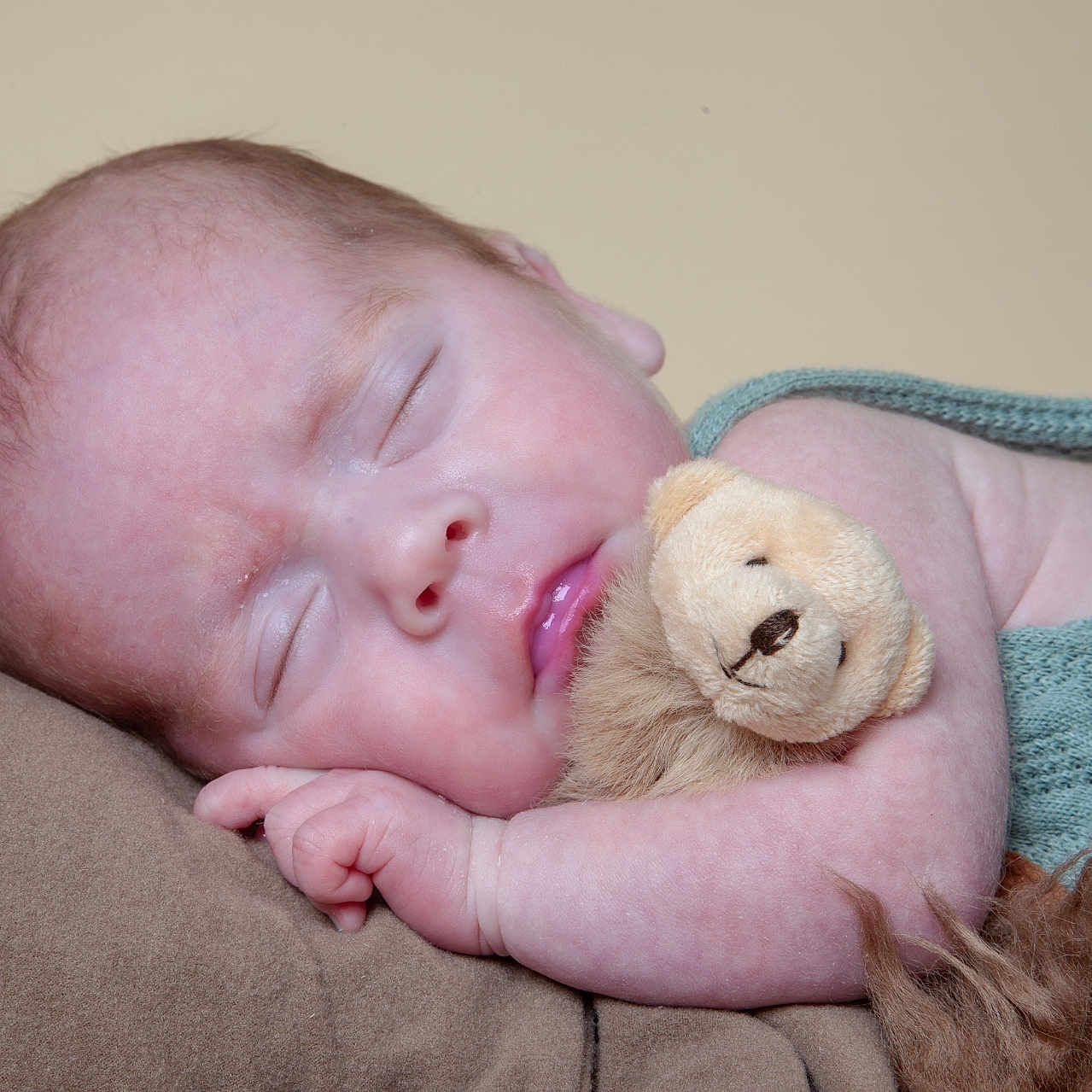 Daithi joined the competition — help win amazing prizes! animal, baby, blanket, bodypart, couch, face, finger, furniture, hand, head, newborn, person, photography, portrait, rabbit, sleeping, teddybear, towel, toy, wood