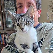 Mercedes is registered to the contest to win money with this photo: bookshelf, cabinet, cat, clothing, curious, domestic_animal, eyes, face, furniture, holding, human, indoor, person, pet, portrait, sitting, sleeve, tabby_cat, white_fur, wood