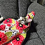 cat, blanket, floral_pattern, couch, gray, cozy, pet, whiskers, curious, indoor, feline, resting, soft, colorful, comfort, animal, laying, domestic, cute, relaxed