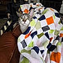cat, blanket, leather_couch, cat_tree, fireplace, indoor, curious, colorful, checkered_pattern, feline, pet, cozy, fur, whiskers, ears, sitting, home, comfort, relaxed, looking