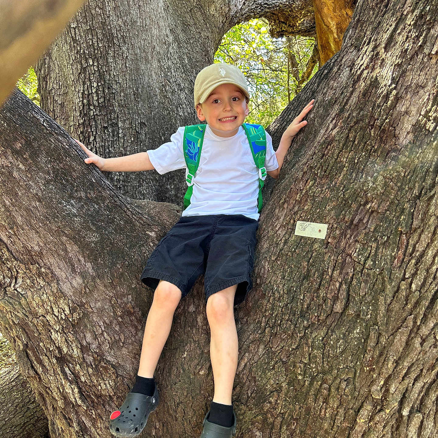 Braxton joined the competition — help win amazing prizes! boy, cap, child, clothing, face, footwear, hat, head, male, pants, person, photography, plant, portrait, rock, shoe, shorts, tree, treetrunk, vegetation