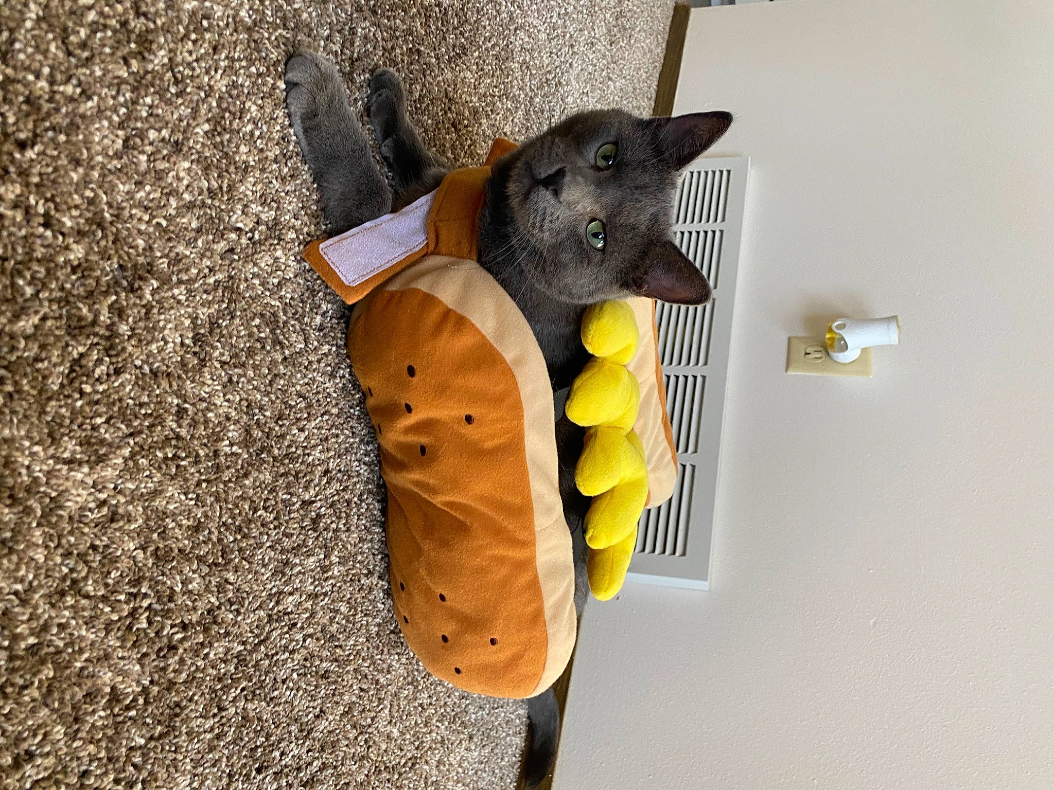 Moby is registered to the contest to win money with this photo: art, cage, easter_bunny, fashion_accessory, fawn, felidae, fish, fur, glove, metal, plush, rabbit, sculpture, snout, stuffed_toy, tail, toy, whiskers, wood, working_animal