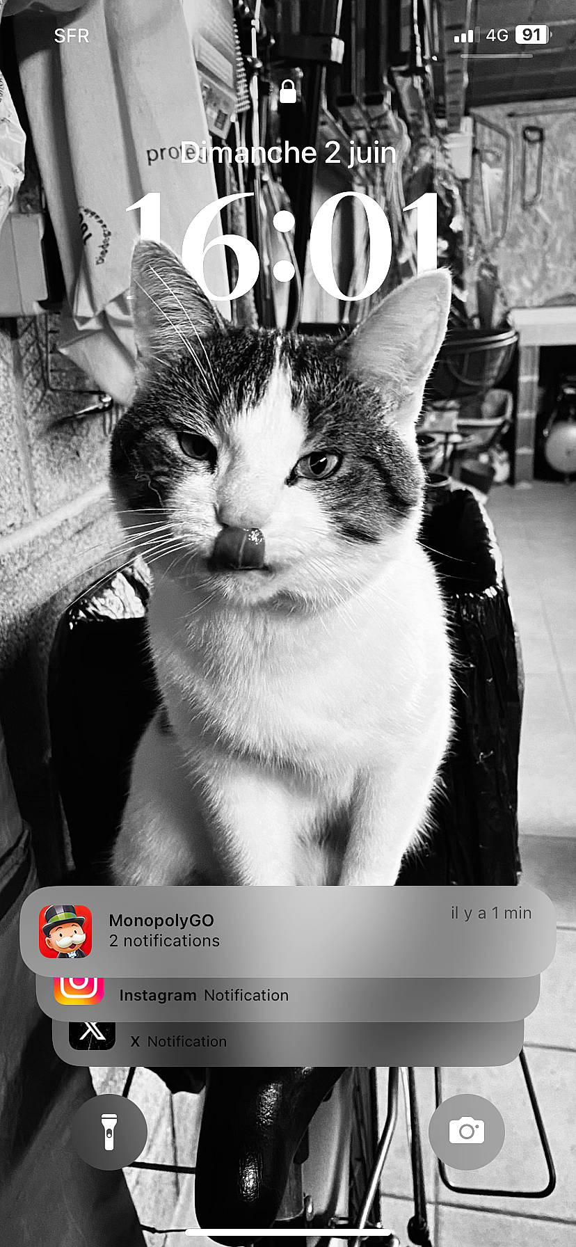 Orion a rejoint le concours — aidez-le/la à gagner de superbes lots ! black_and_white, carnivore, cat, domestic_short_haired_cat, felidae, font, fur, line, monochrome, monochrome_photography, photo_caption, photograph, small_to_medium_sized_cats, snapshot, snout, style, tire, whiskers, white, window