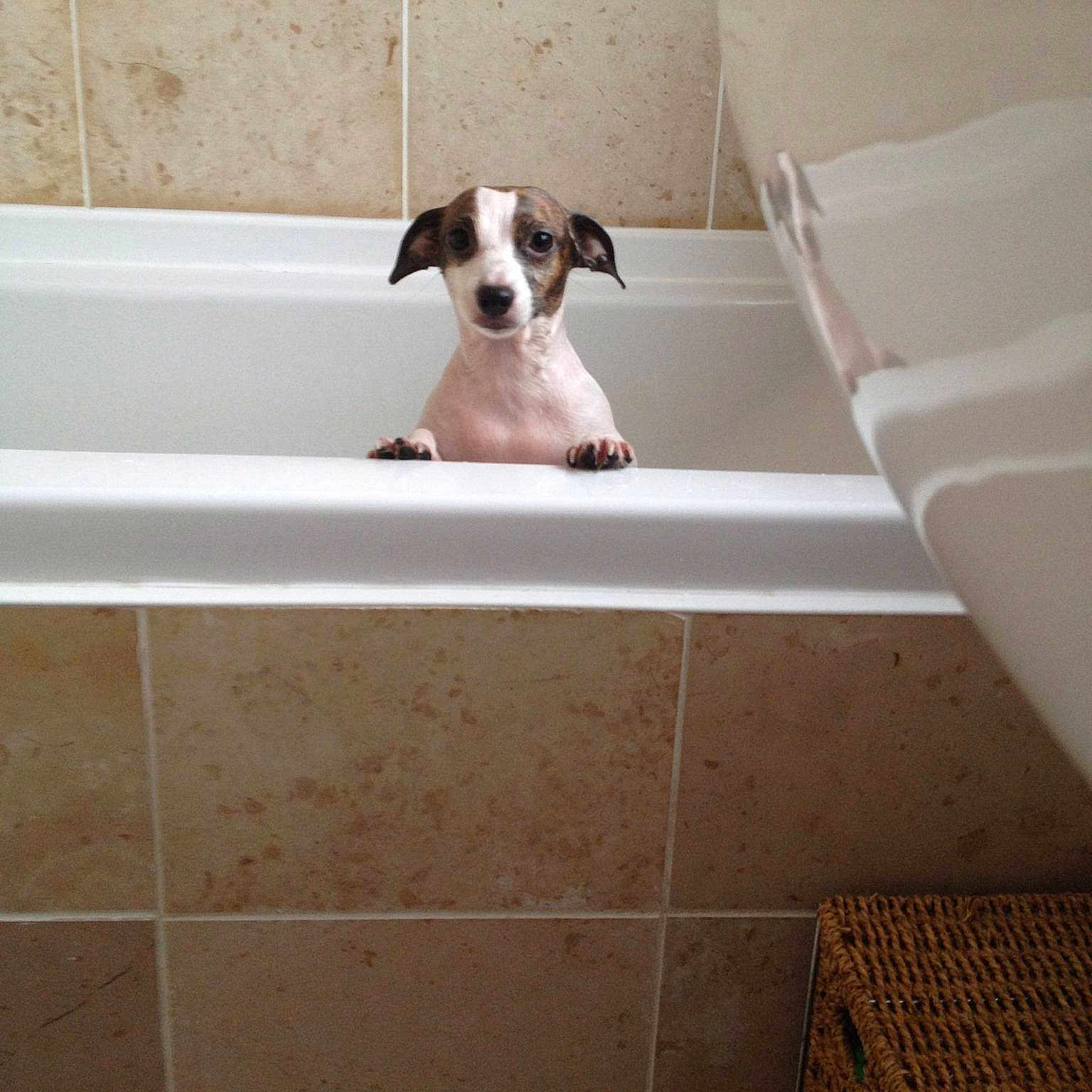 Holly is registered to the contest to win money with this photo: