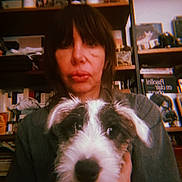 Apache participe au concours pour gagner de l'argent avec cette photo : animal, books, bookshelf, brown_hair, closeup, cozy, cute, dog, face, furniture, furry, hand, indoor, looking_at_camera, person, pet, portrait, shelf, sitting, warm_light