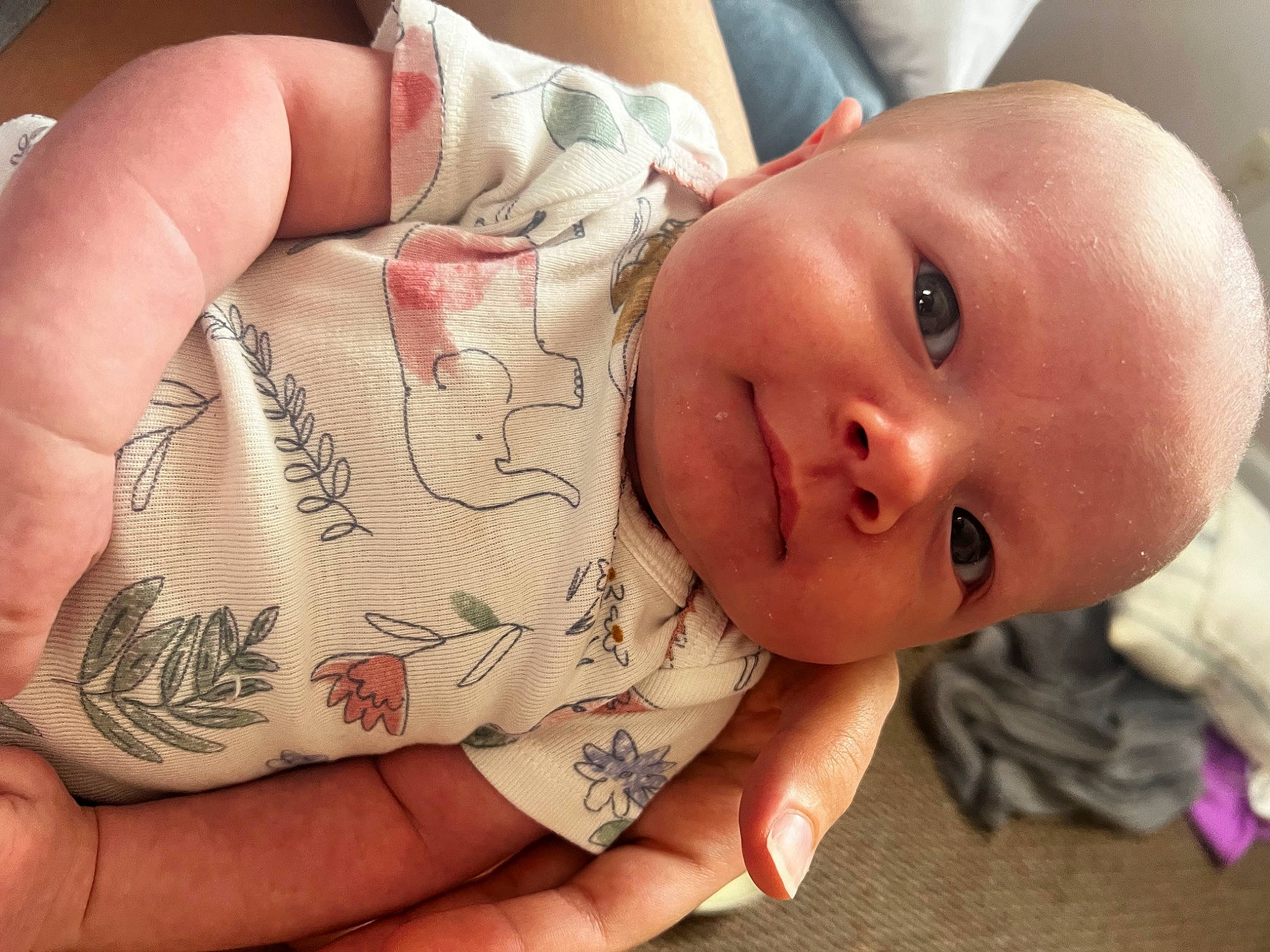 Braylynn joined the competition — help win amazing prizes! arm, baby, baby_toddler_clothing, cheek, chest, child, ear, eyelash, finger, gesture, hand, happy, human_body, nail, nose, person, skin, smile, thumb, toddler