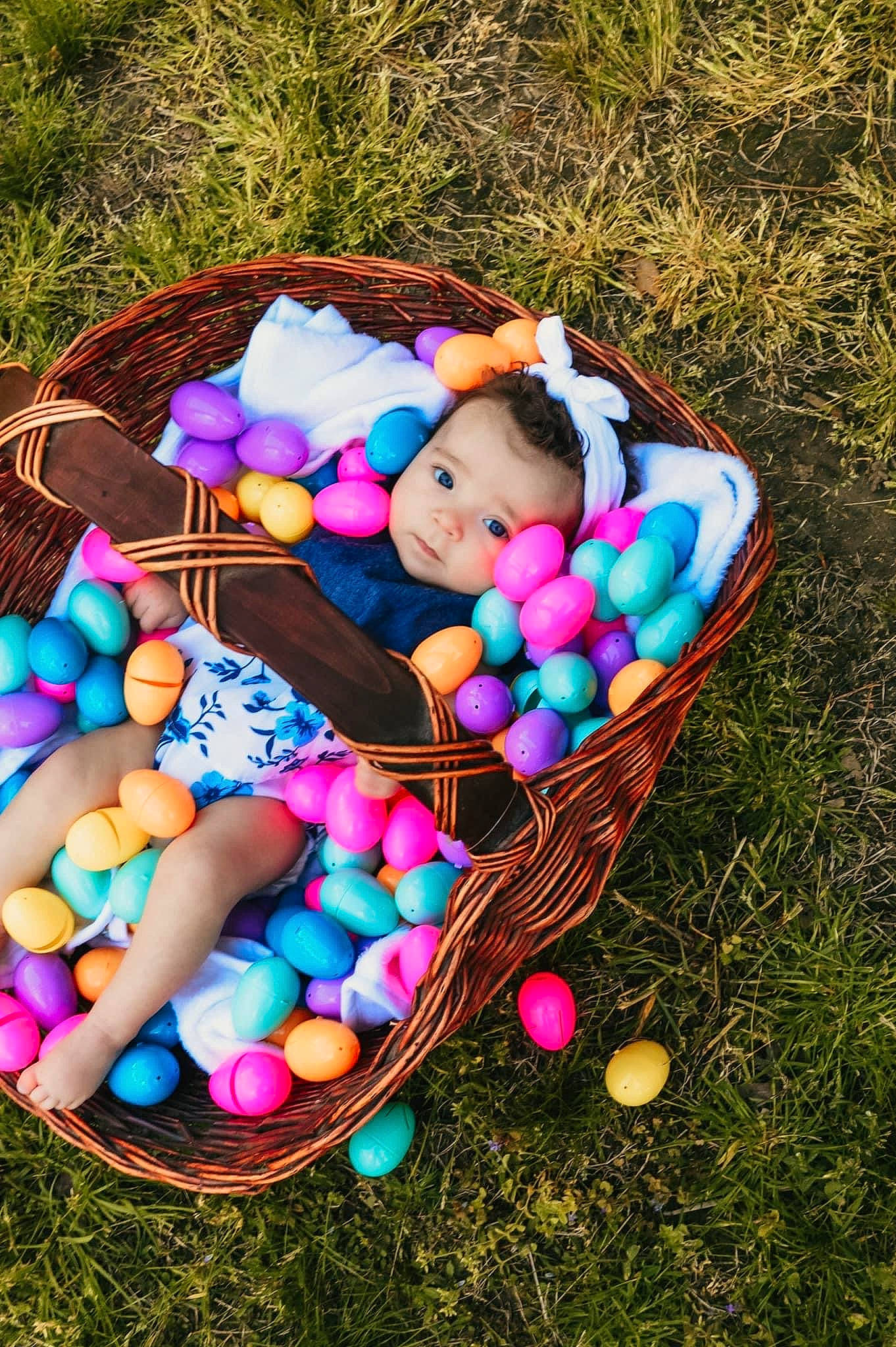 Emalynn joined the competition — help win amazing prizes! basket, child, easter, easter_egg, egg, event, food, fun, grass, happy, holiday, leisure, person, recreation, stuffed_toy, sweetness, textile, toy, tree, wood