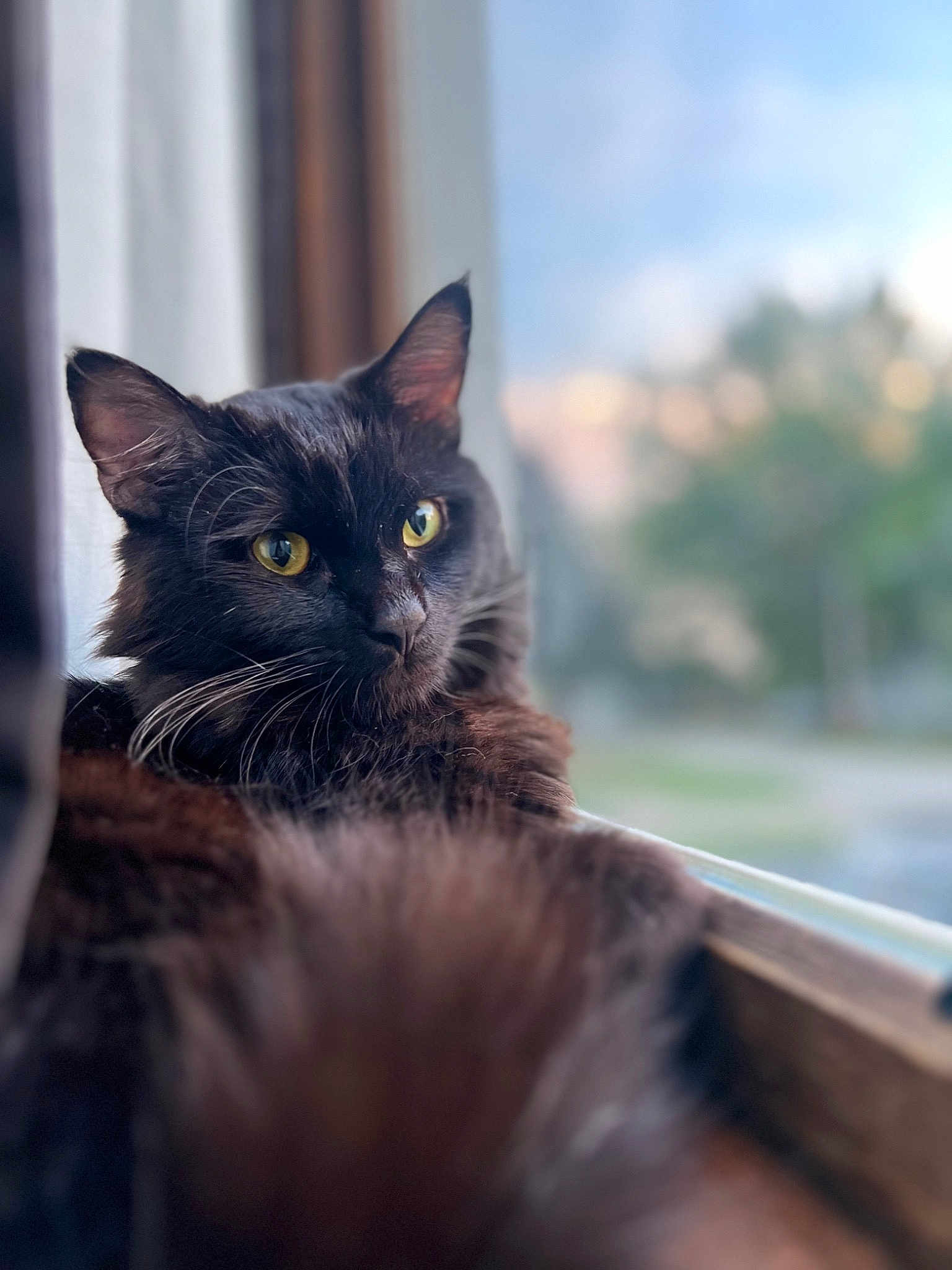 Lucifer