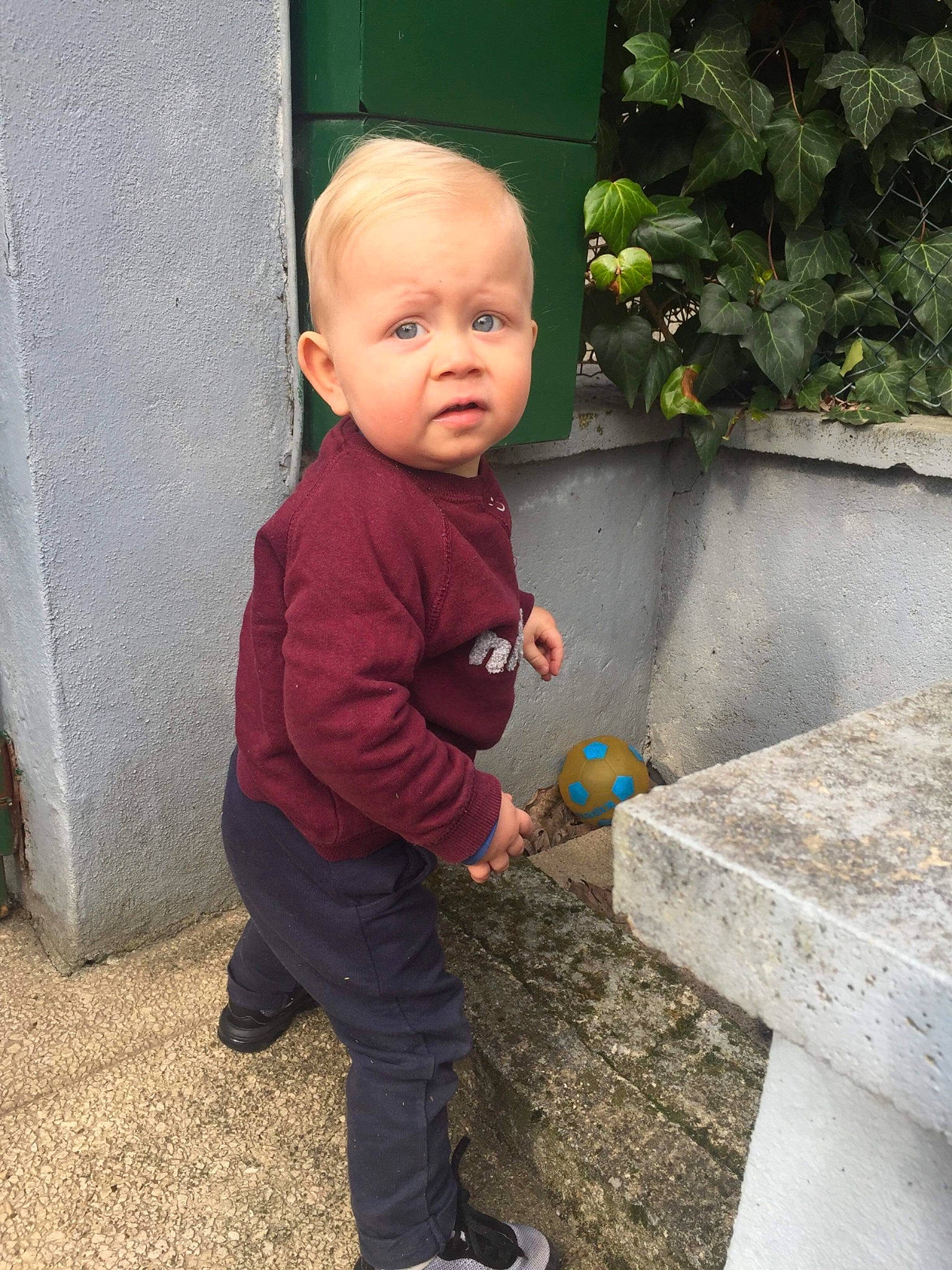 Tiago a rejoint le concours — aidez-le/la à gagner de superbes lots ! baby, baby_toddler_clothing, child, concrete, flooring, footwear, grass, jacket, people_in_nature, person, plant, road_surface, shoe, sitting, soil, standing, tints_and_shades, toddler, tree, vacation