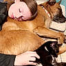 Mittens is registered to the contest to win money with this photo: person, dog, cat, sleeping, resting, bed, pillow, petting, animal, indoor, cozy, relaxed, black_and_white_cat, brown_dog, human, fur, companion, calm, comfort, nap