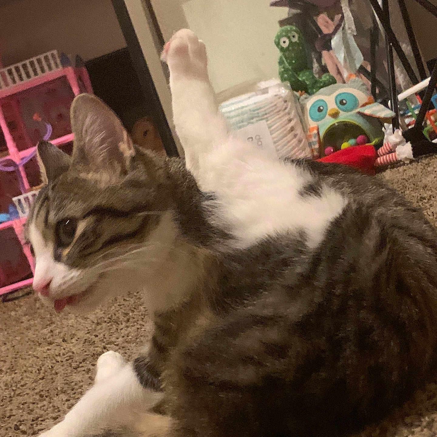 Luna
