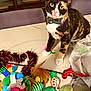 cat, calico_cat, bow_tie, green_eyes, paws, whiskers, table, cat_toys, feather_toy, balls, plush_toy, colorful, indoor, pet, portrait, sitting, fur, playful, holiday, home