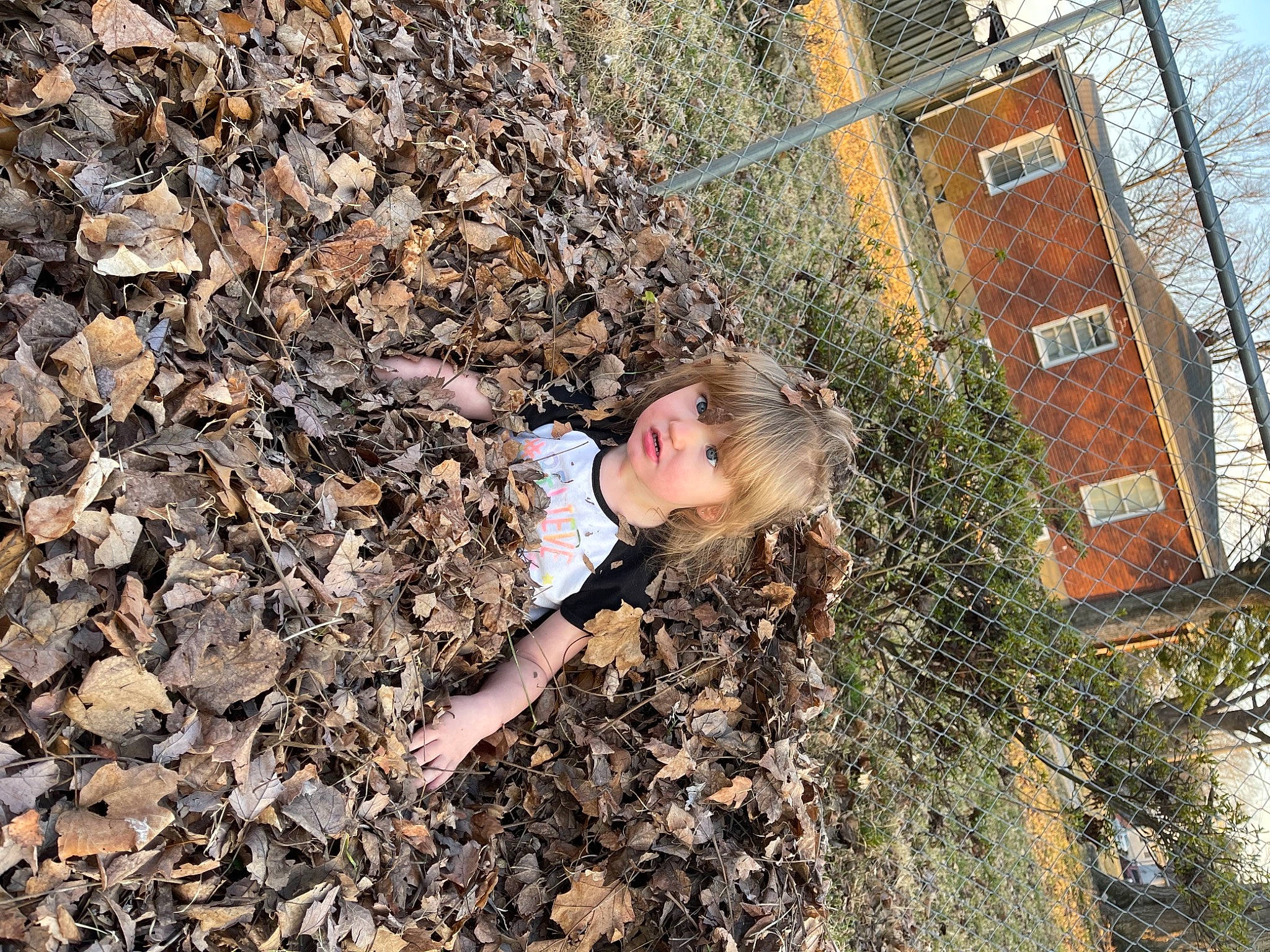 Paradise joined the competition — help win amazing prizes! adventure, autumn, bedrock, fun, grass, happy, landscape, leisure, nature, pebble, people_in_nature, person, plant, rock, rubble, shadow, sitting, soil, tree, window