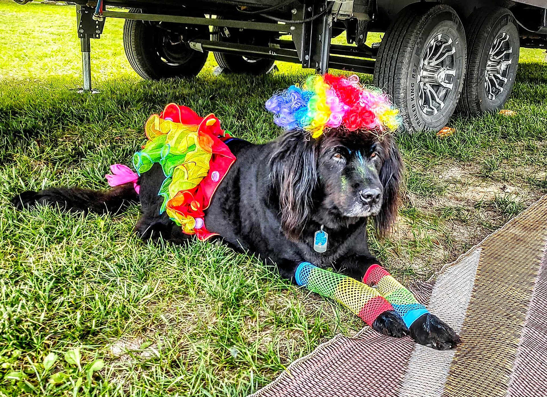 Rosie
