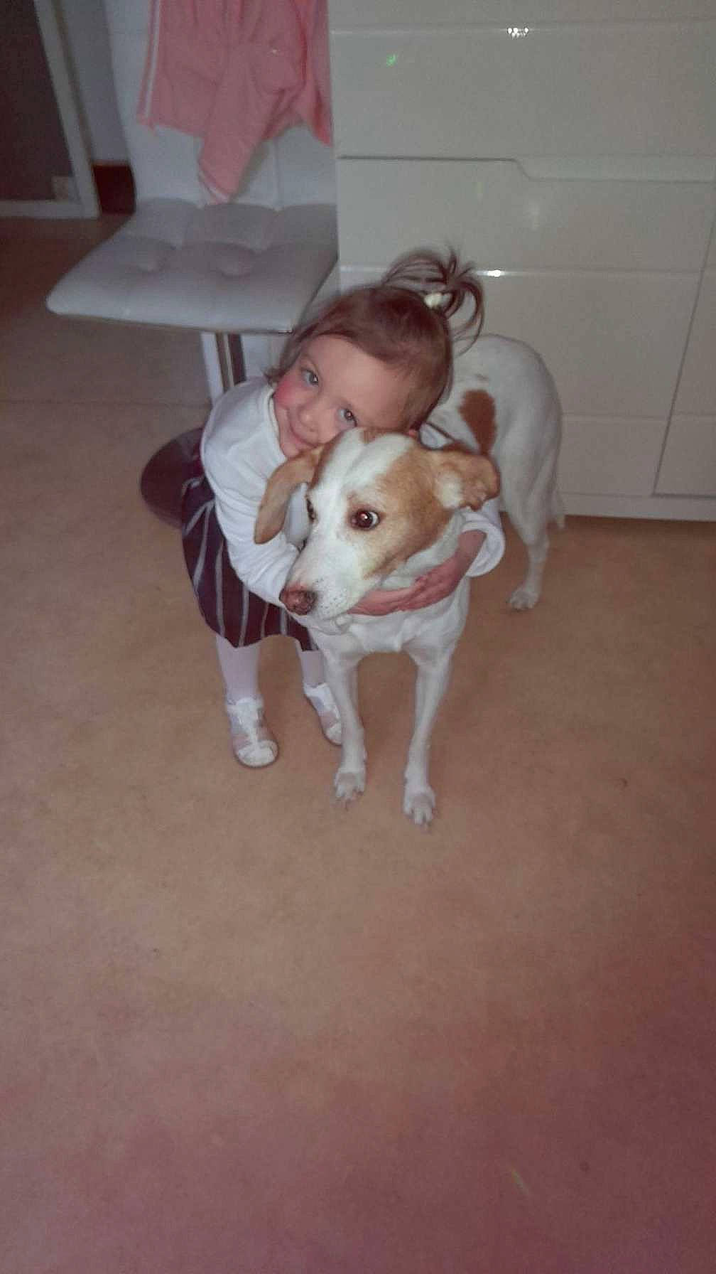 Athénaïs a rejoint le concours — aidez-le/la à gagner de superbes lots ! canidae, carnivore, chair, companion_dog, dog, dog_breed, fawn, flooring, foot, fur, hardwood, head, human_leg, person, room, snout, sporting_group, tail, toy_dog, wood