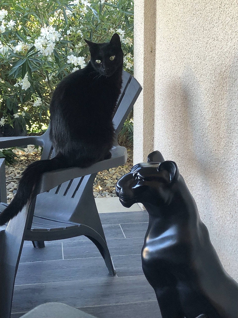 Baguera participe au concours pour gagner de l'argent avec cette photo : art, black_cat, carnivore, cat, felidae, fur, grass, mammal, metal, plant, sculpture, sitting, small_to_medium_sized_cats, snout, tail, terrestrial_animal, toy, tree, vertebrate, whiskers