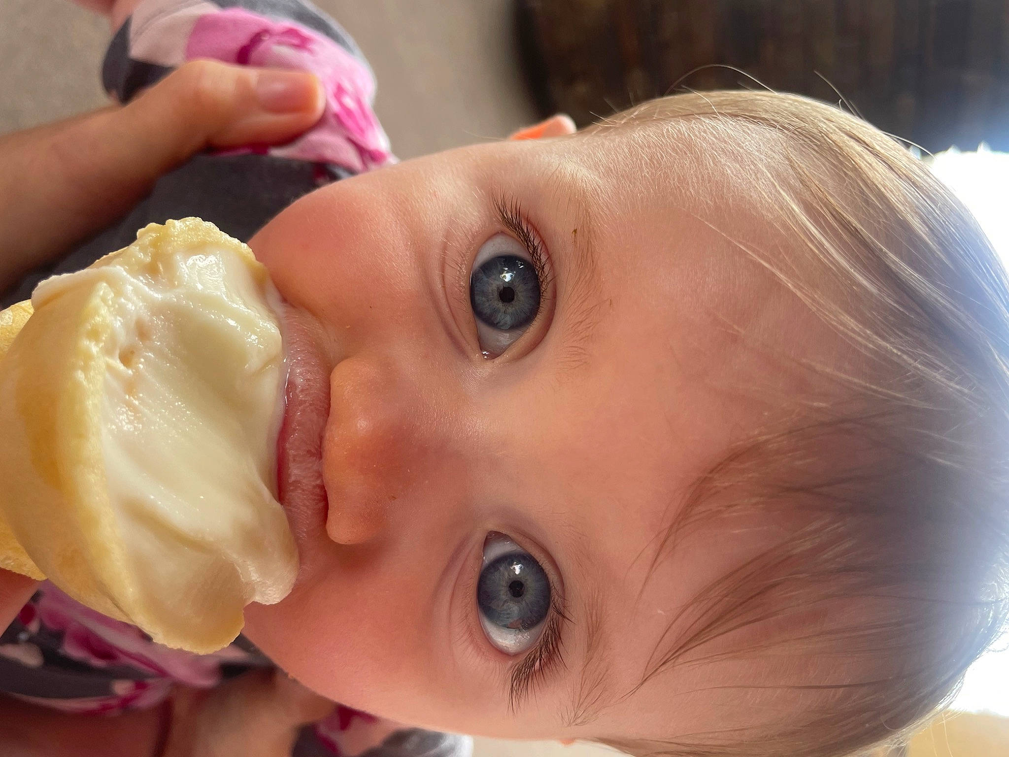 Everlee joined the competition — help win amazing prizes! blond, cheek, child, close_up, ear, eyebrow, eyelash, facial_expression, food, happy, ingredient, iris, lip, neck, nose, person, plant, skin, smile, toddler