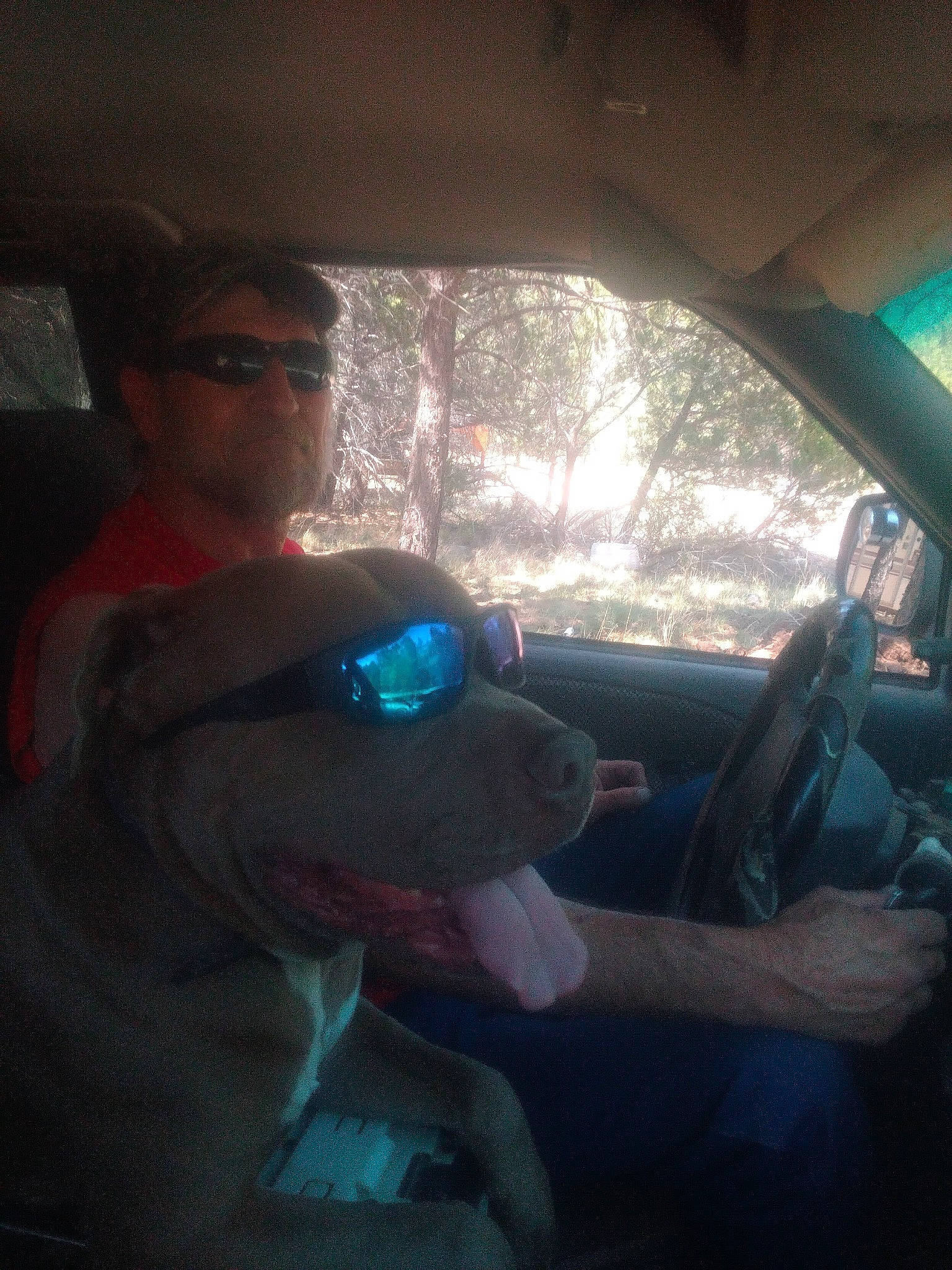 Harley Davidson Boy is registered to the contest to win money with this photo: auto_part, automotive_design, automotive_exterior, automotive_lighting, automotive_mirror, car, car_seat, eyewear, gesture, goggles, hand, motor_vehicle, personal_luxury_car, rear_view_mirror, steering_part, steering_wheel, tints_and_shades, tree, vehicle, vehicle_door