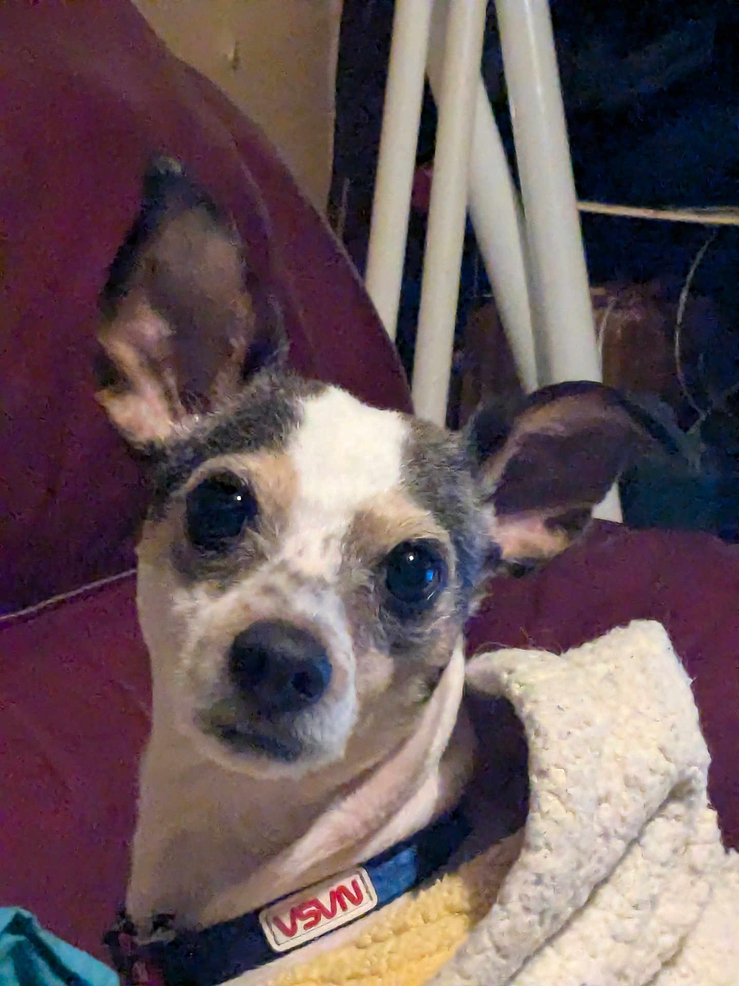 Butterball